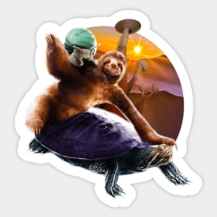 Sloth Turtle Snail Sticker